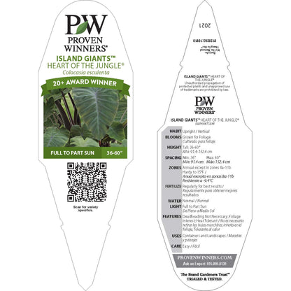 Limited Edition Royale™ | Island Giants™ Heart of the Jungle® Elephant's Ear (Colocasia esculenta)