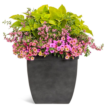 AquaPots® Lite Urban - Courtyard