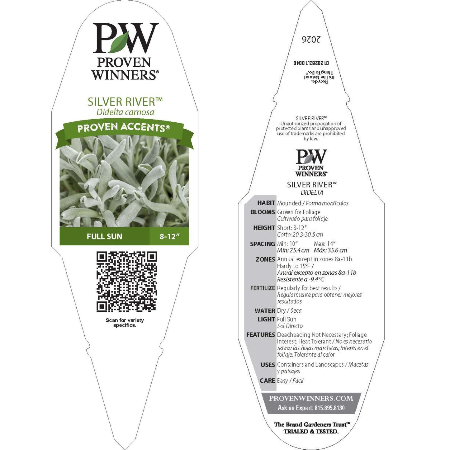 Silver River™ Didelta | Proven Winners® New Variety 2026