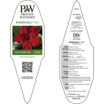 Bombshell® Red Rocktrumpet (Mandevilla hybrid)