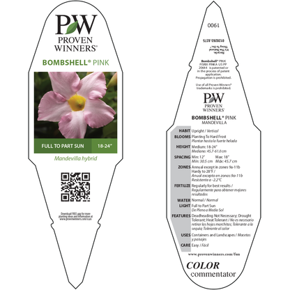 Bombshell® Pink Rocktrumpet (Mandevilla hybrid)