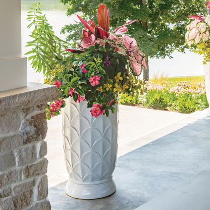 Bombshell® Coral Pink Rocktrumpet (Mandevilla hybrid)