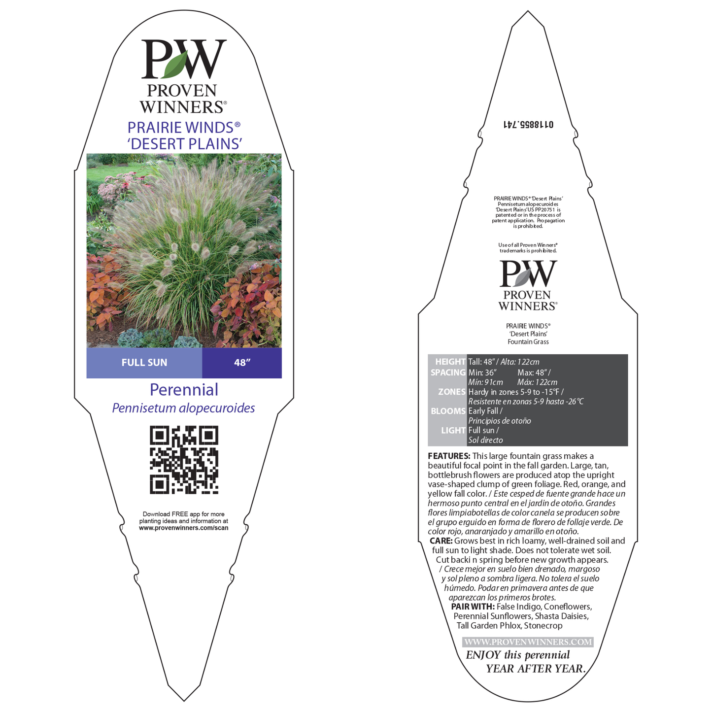 Prairie Winds® 'Desert Plains' Fountain Grass (Pennisetum alopecuroides)