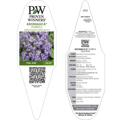 Aromagica® Purple Heliotrope (Heliotropium arborescens)