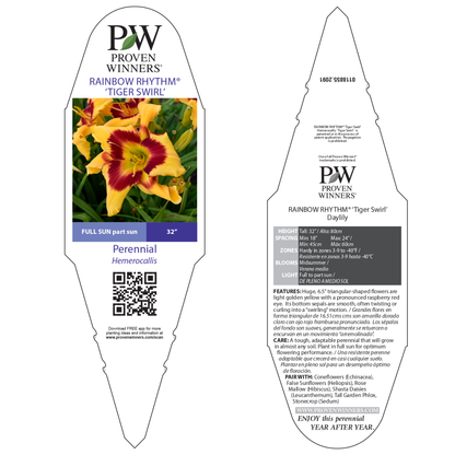 Rainbow Rhythm® 'Tiger Swirl' Daylily (Hemerocallis)