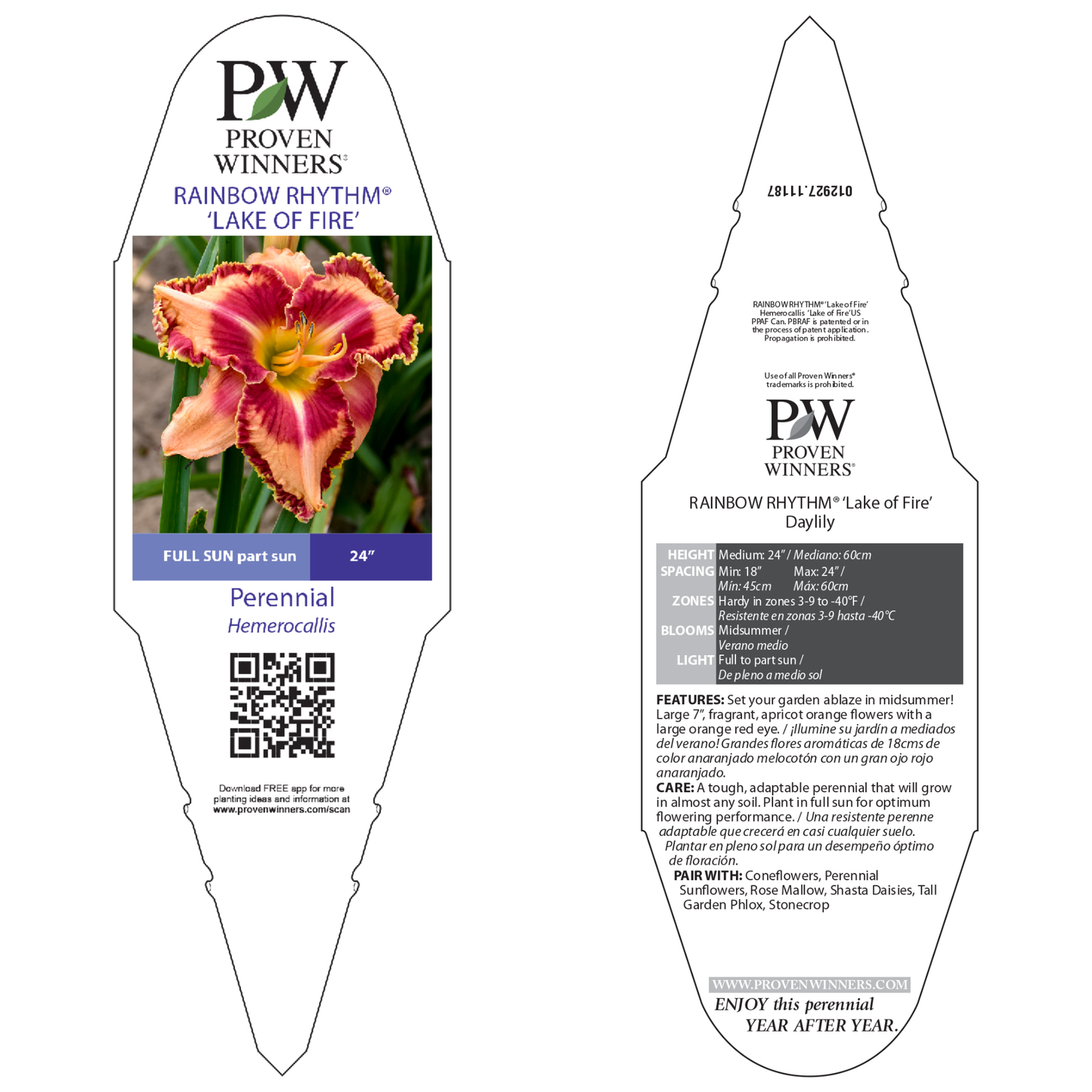 Rainbow Rhythm® 'Lake of Fire' Daylily (Hemerocallis)