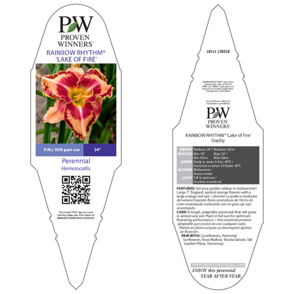 Rainbow Rhythm® 'Lake of Fire' Daylily (Hemerocallis)