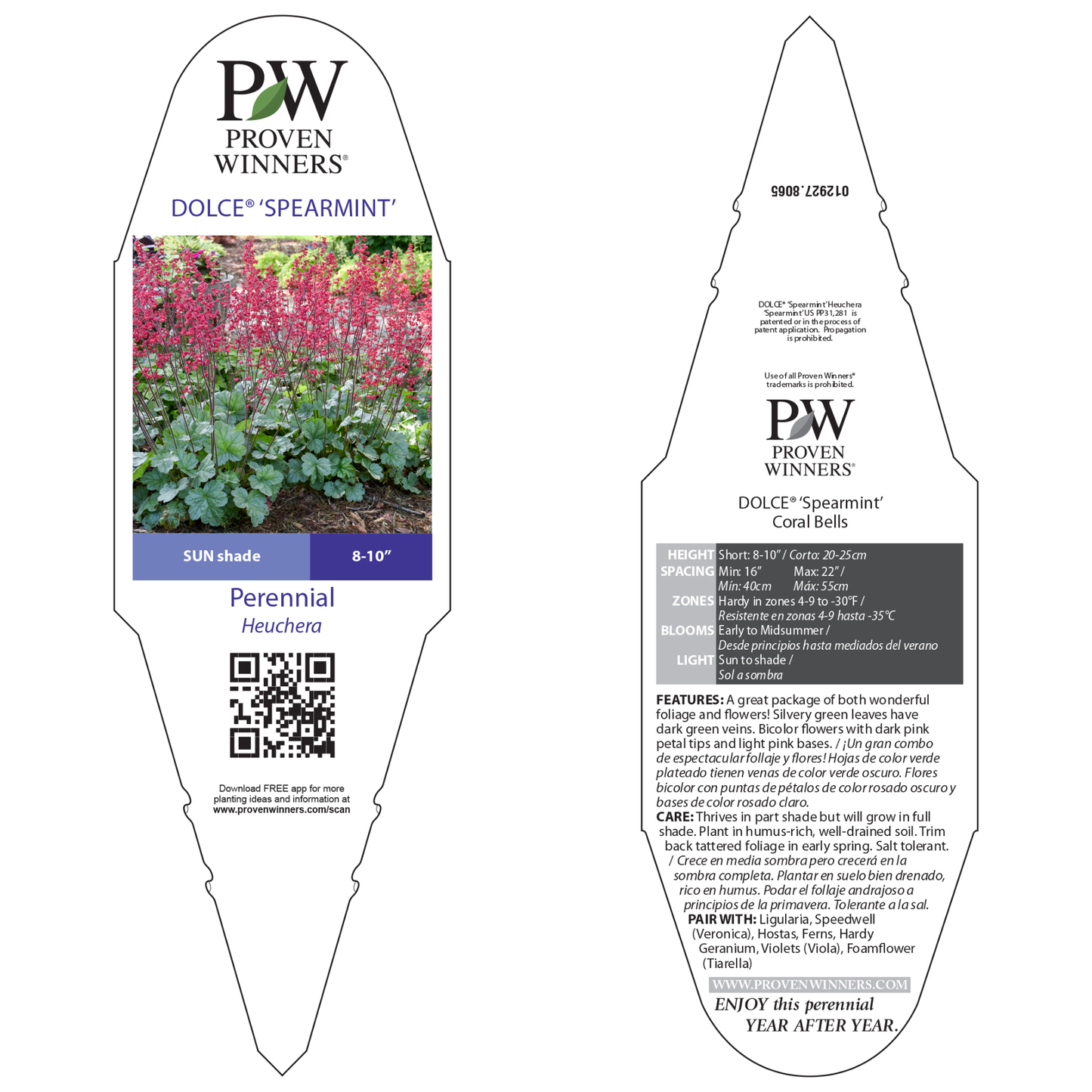 Dolce® 'Spearmint' Coral Bells (Heuchera)