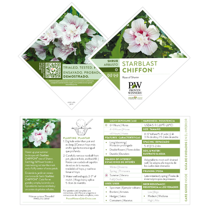 Starblast Chiffon® Rose of Sharon (Hibiscus syriacus)