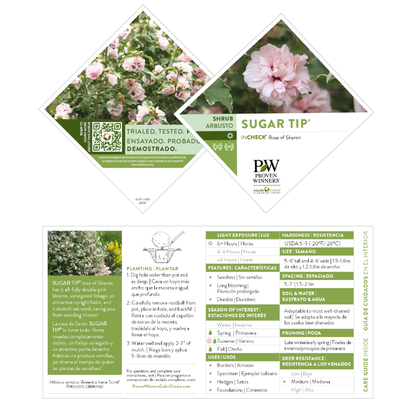 Sugar Tip® Rose of Sharon (Hibiscus syriacus)