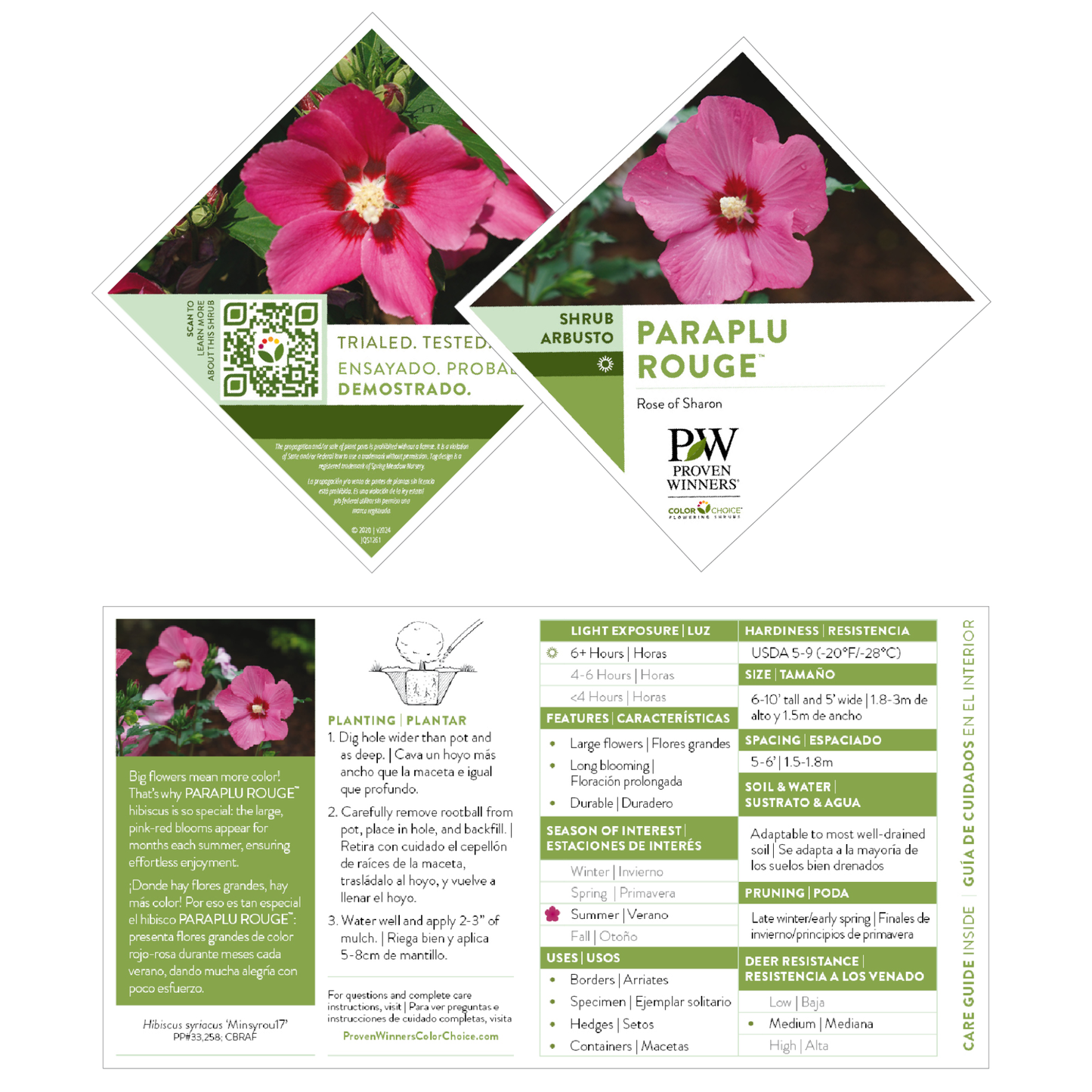 Paraplu Rouge® Rose of Sharon (Hibiscus syriacus)
