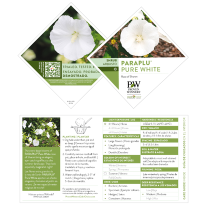 Paraplu® Pure White Rose of Sharon (Hibiscus syriacus) | Proven Winners® New Variety 2026