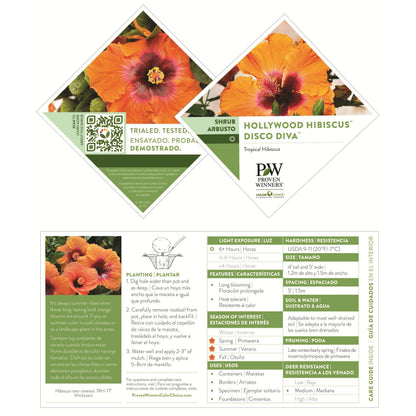 Hollywood Hibiscus® Disco Diva™ Tropical Hibiscus (Hibiscus Rosa-sinensis)