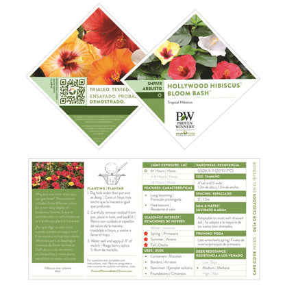 Hollywood Hibiscus® Bloom Bash® Tropical Hibiscus (Hibiscus rosa-sinensis)