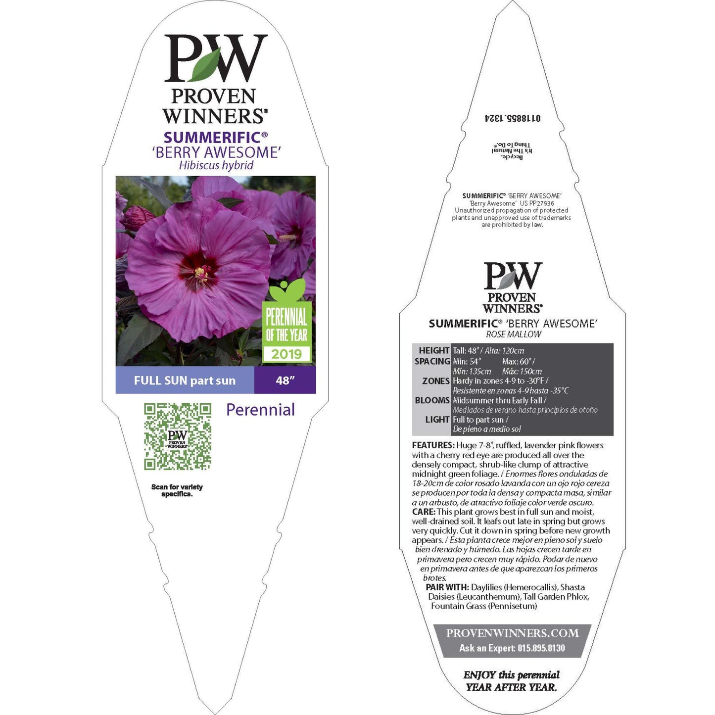 Summerific® 'Berry Awesome' Rose Mallow (Hibiscus hybrid)