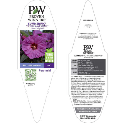 Summerific® 'Berry Awesome' Rose Mallow (Hibiscus hybrid)