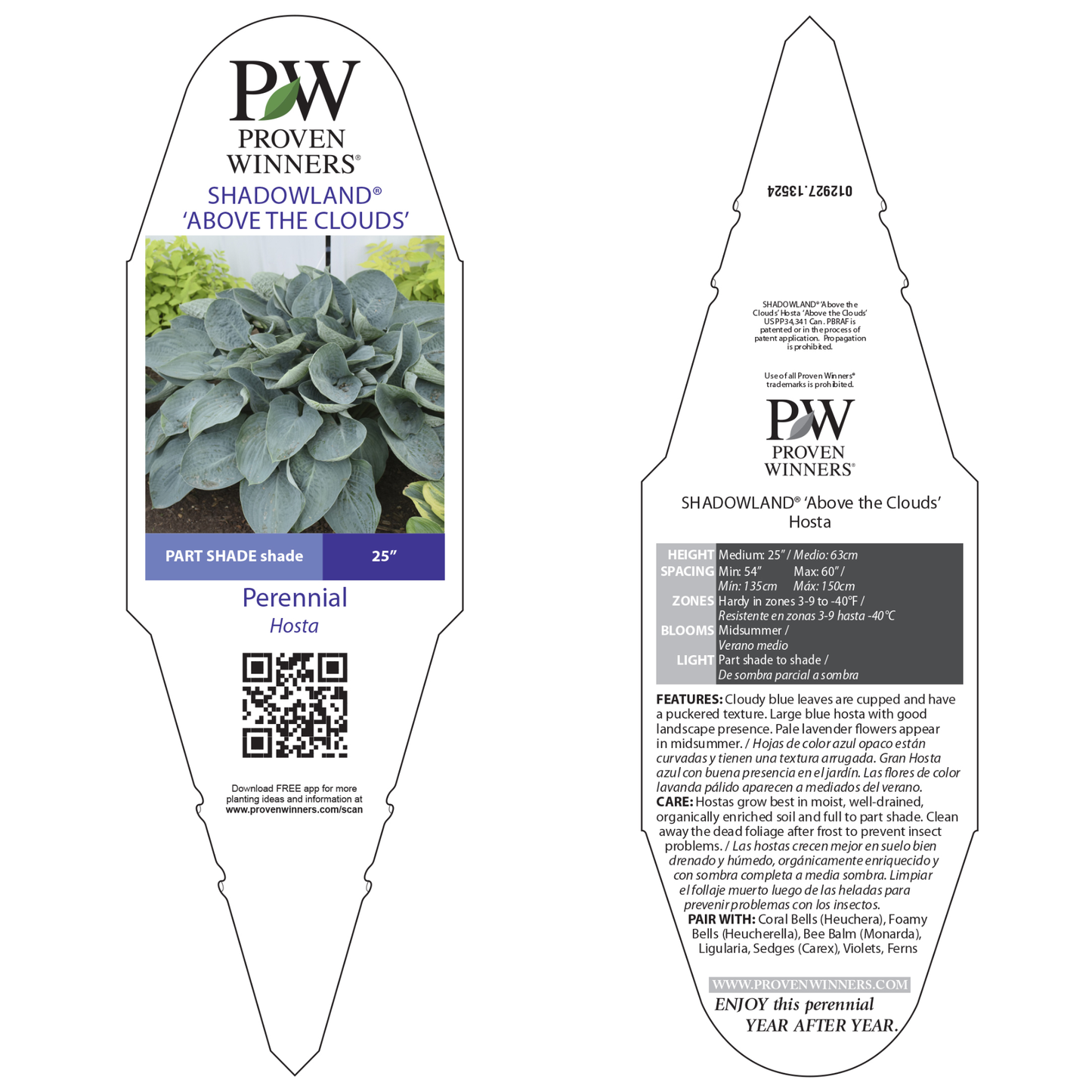 Shadowland® 'Above the Clouds' Hosta