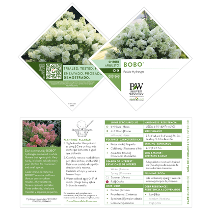 Bobo® Panicle Hydrangea (paniculata)