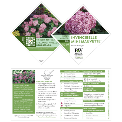 Invincibelle Mini Mauvette® Smooth Hydrangea (arborescens)