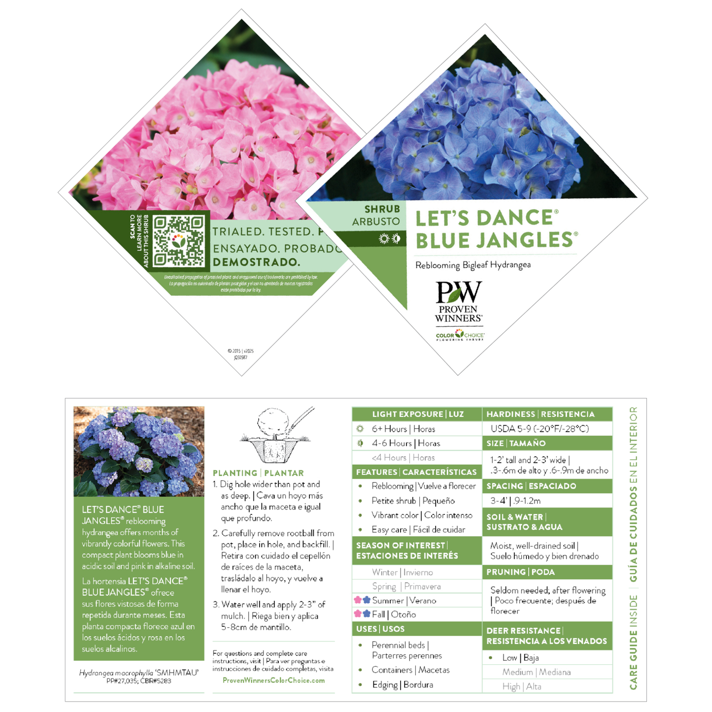 Let's Dance® Blue Jangles® Reblooming Hydrangea (macrophylla)