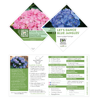 Let's Dance® Blue Jangles® Reblooming Hydrangea (macrophylla)