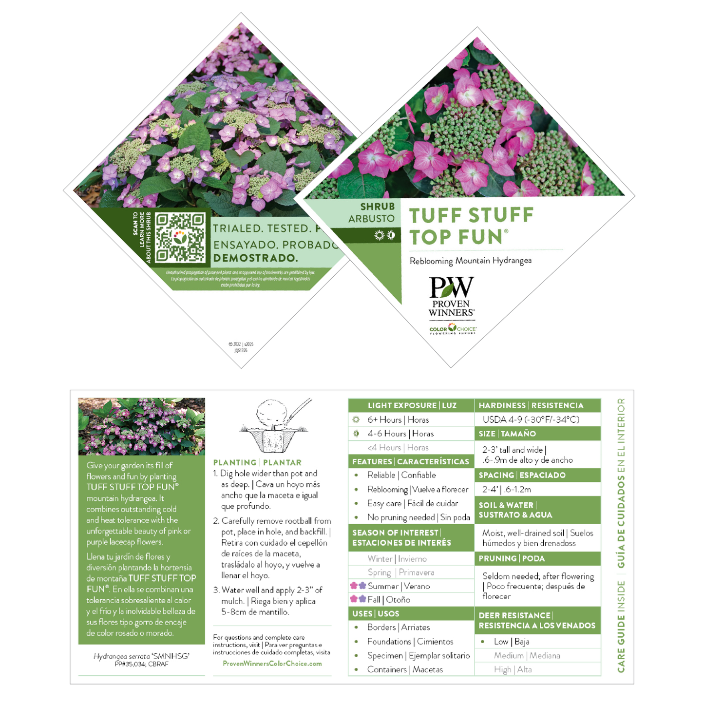 Tuff Stuff Top Fun® Reblooming Mountain Hydrangea (serrata)
