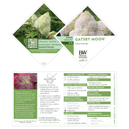 Gatsby Moon® Oakleaf Hydrangea (quercifolia)