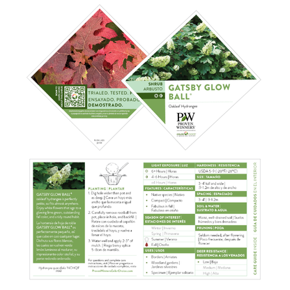 Gatsby Glow Ball™ Oakleaf Hydrangea (quercifolia) | Proven Winners® New Variety 2026