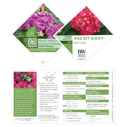 Wee Bit Giddy® Bigleaf Hydrangea (macrophylla)