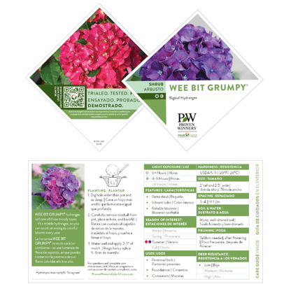 Wee Bit Grumpy® Bigleaf Hydrangea (macrophylla)