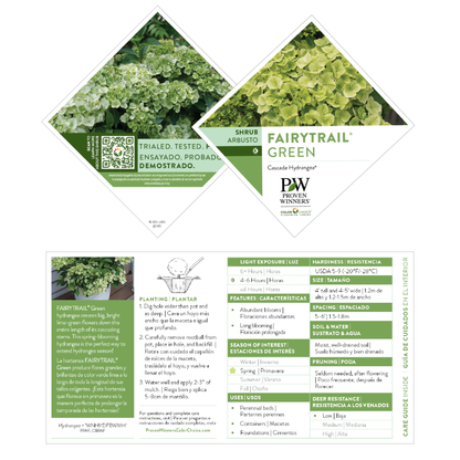 Fairytrail® Green Cascade Hydrangea