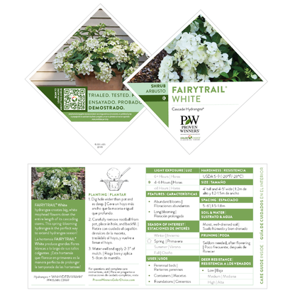 Fairytrail® White Cascade Hydrangea