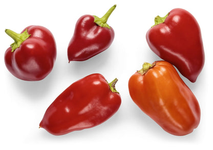 Seeds Fire Away® 'Hot and Heavy' Hot Pepper (Capsicum)