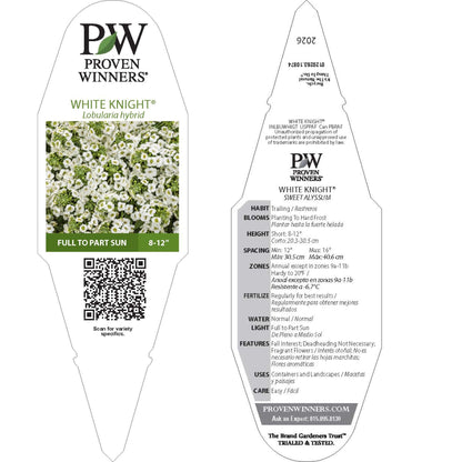White Knight® Sweet Alyssum (Lobularia hybrid)