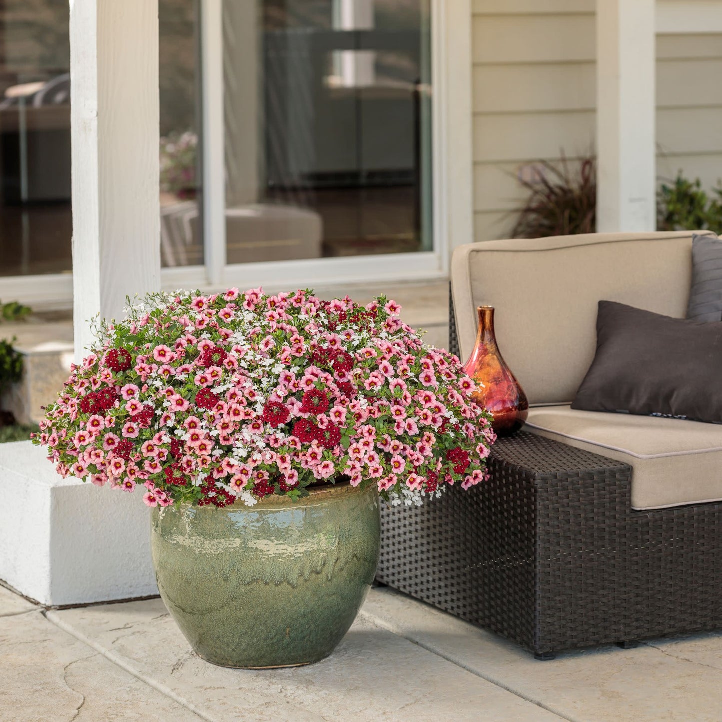 Laguna® Cloud White™ Lobelia (erinus)