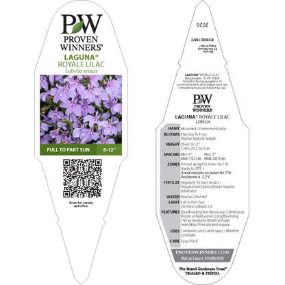 Laguna® Royale Lilac Lobelia (erinus) | Proven Winners® New Variety 2026