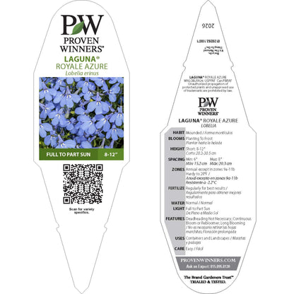 Laguna® Royale Azure Lobelia (erinus) | Proven Winners® New Variety 2026