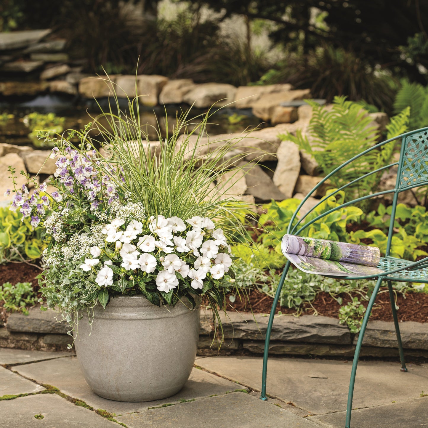 Limited Edition Royale™ | Proven Selections® SunPatiens® Compact Classic White Impatiens (x hybrida)
