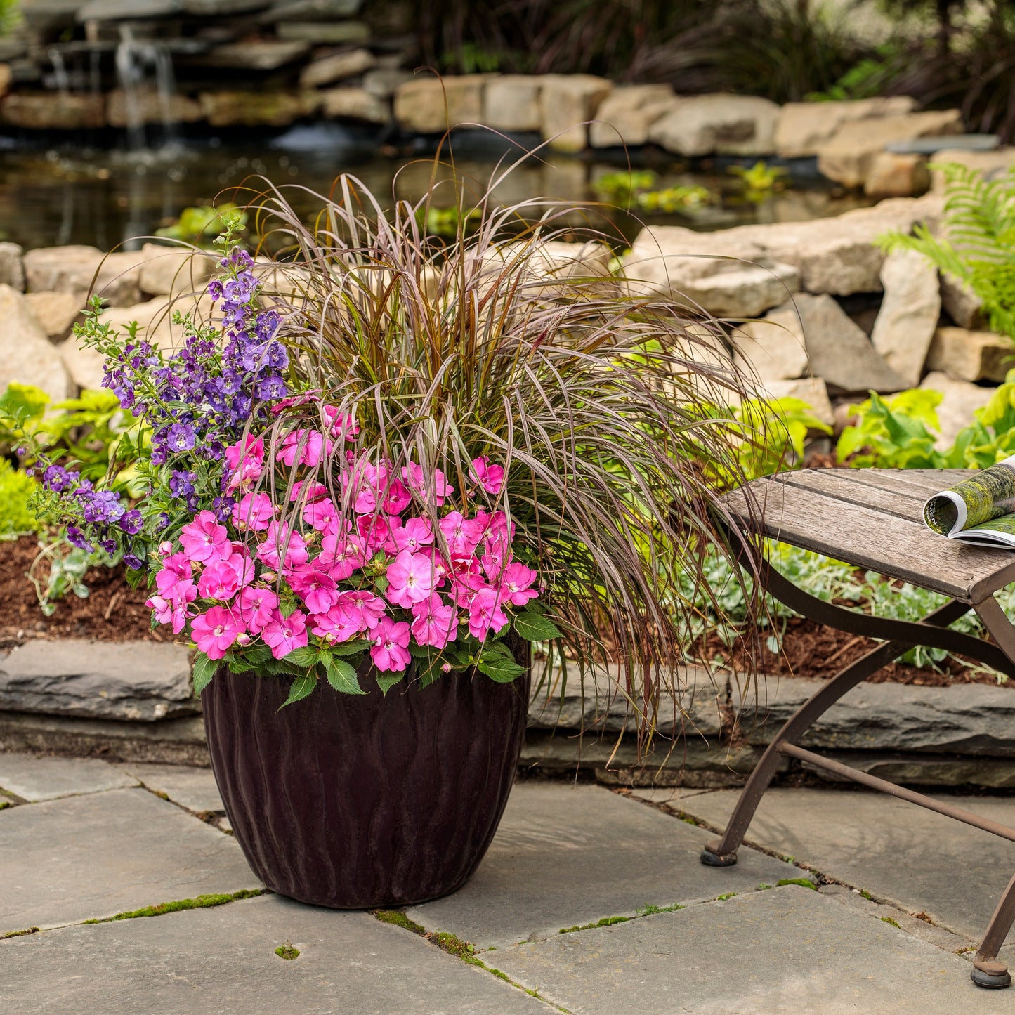 Limited Edition Royale™ | Proven Selections® SunPatiens® Compact Hot Pink Impatiens (x hybrida)