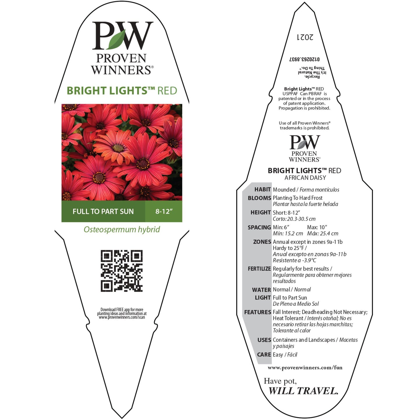 Bright Lights™ Red African Daisy (Osteospermum)