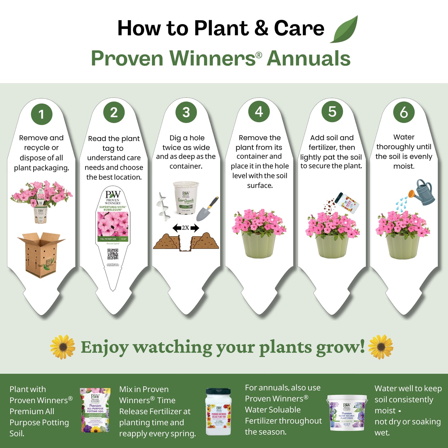 Proven Selections® SunPatiens® Compact Blush Pink Impatiens (Impatiens x hybrida)