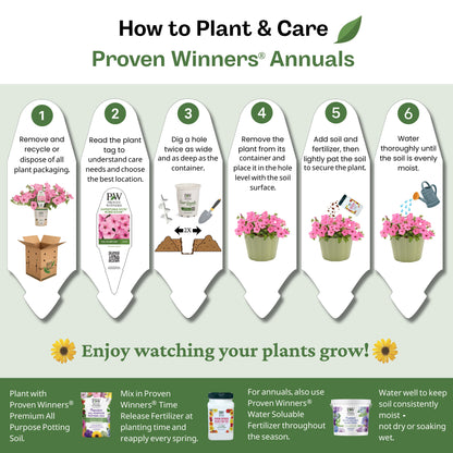 Supertunia® Latte™ Petunia