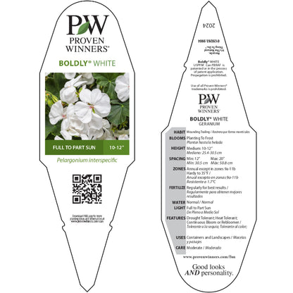 Boldly® White Geranium (Pelargonium interspecific)