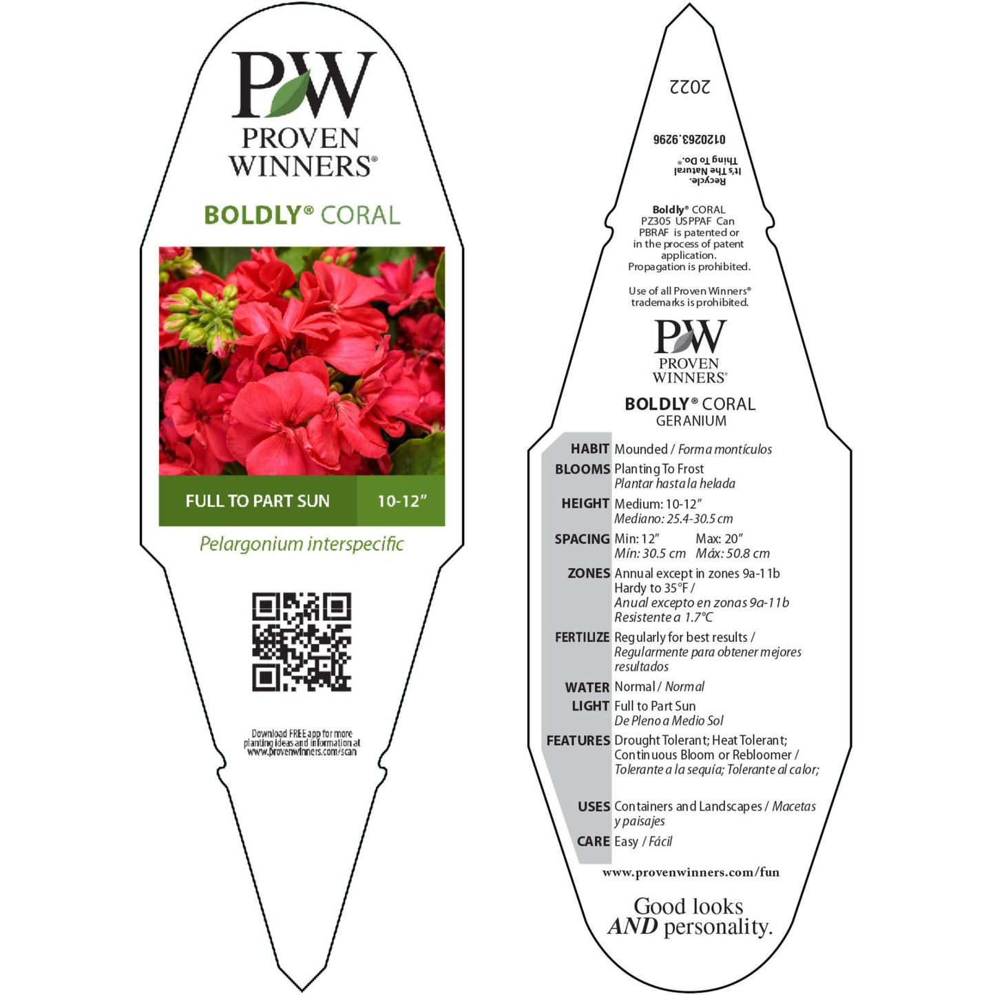 Boldly® Coral Geranium (Pelargonium interspecific)