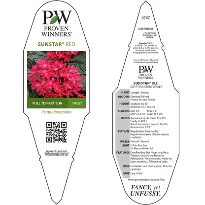 Sunstar® Red Egyptian Star Flower (Pentas lanceolata)