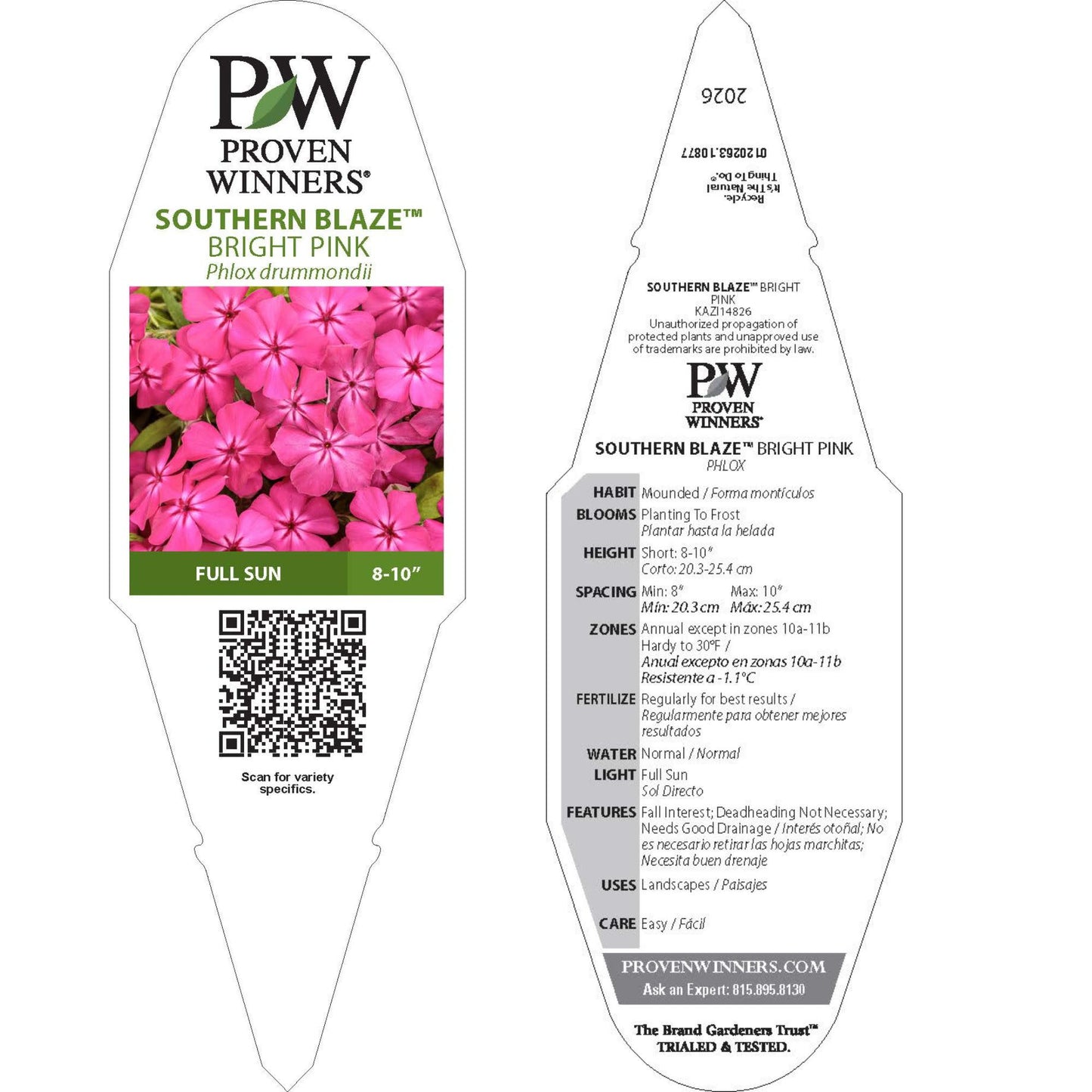 Southern Blaze™ Bright Pink (Phlox drummondii) | Proven Winners® New Variety 2026