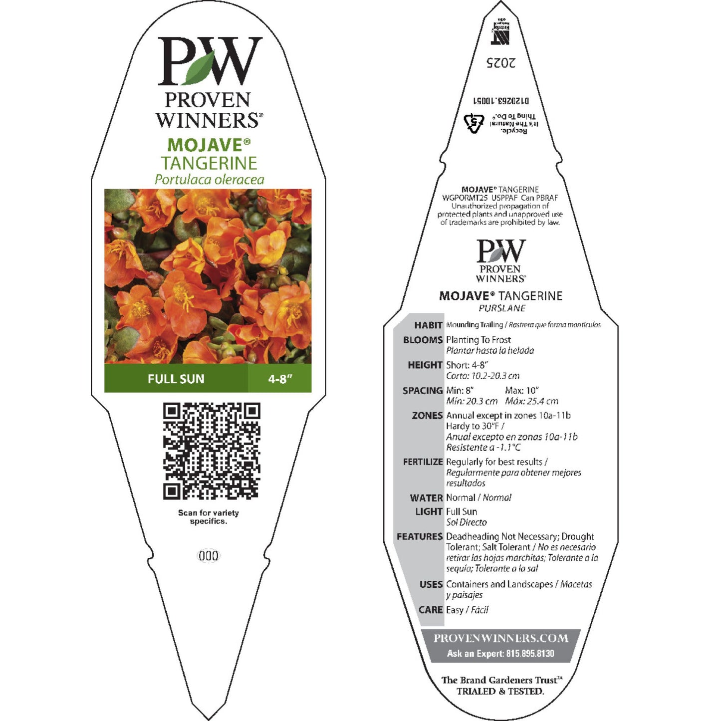 Mojave® Tangerine Purslane (Portulaca umbraticola)