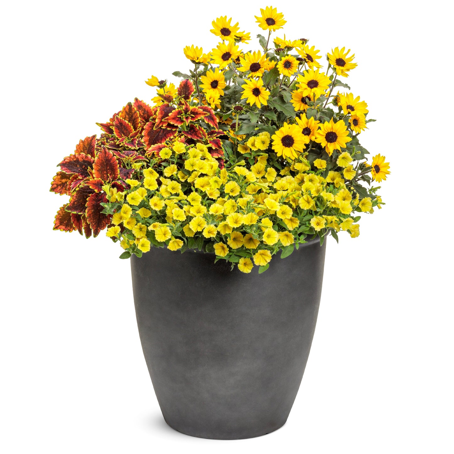 AquaPots® Lite Urban - Parkside