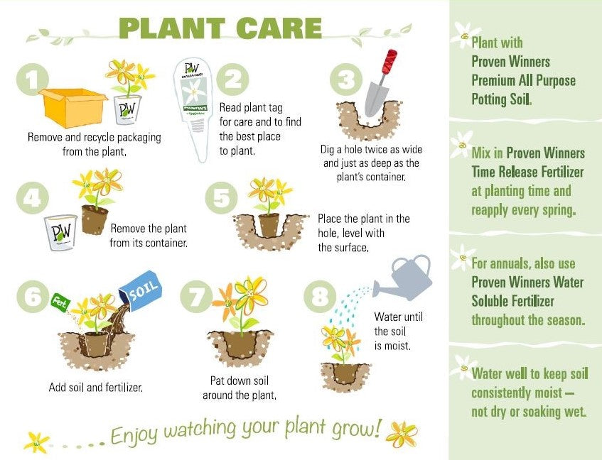 Proven Winners Plant Care