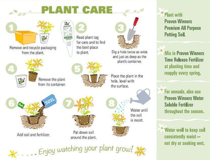 Proven Winners Plant Care